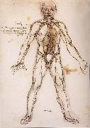 LEONARDO da Vinci You branching of the Blutgefabe, anatomical figure with heart kidneys and Blutgefaben china oil painting artist